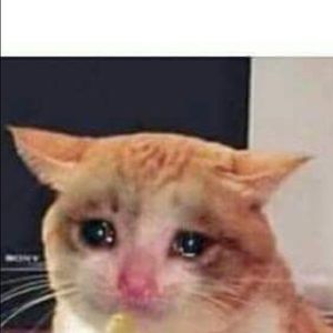 Meet your Posher, Erick